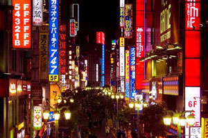 Japan Holidays 8 Tips about What to do and Things to See