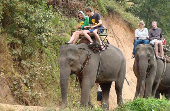 Elephant-Ride-Thailand
