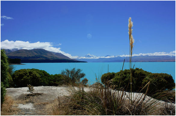 New-Zealand