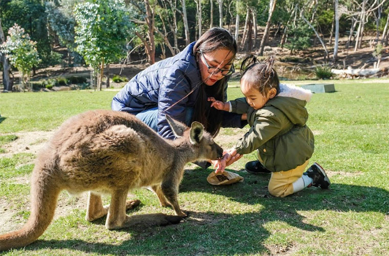 Things to do with Kids in Adelaide Warrawong Wildlife Sanctuary