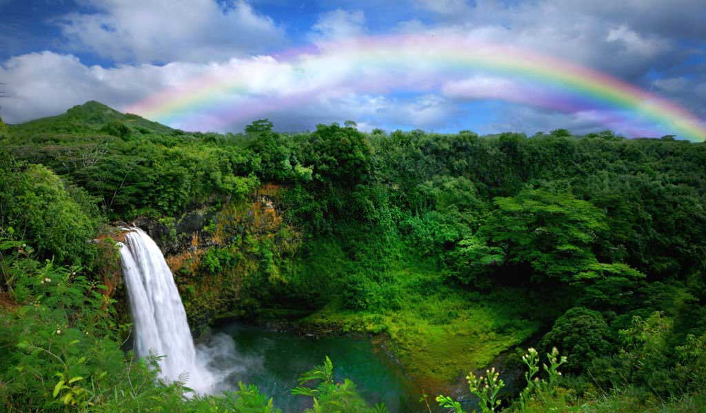 Kauai Hawaii