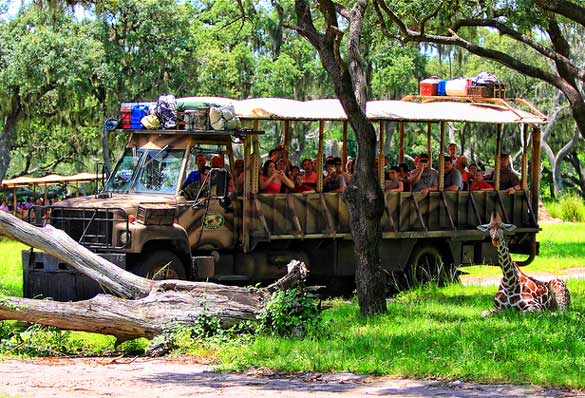 Safari-in-Disney