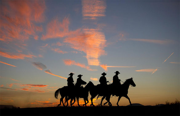 Horseback-riding