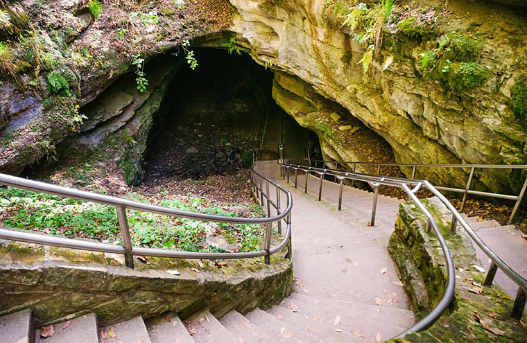 Mammoth cave national park