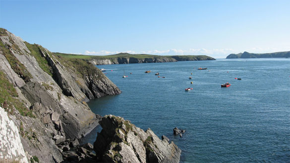 Ramsey-Island-Wales