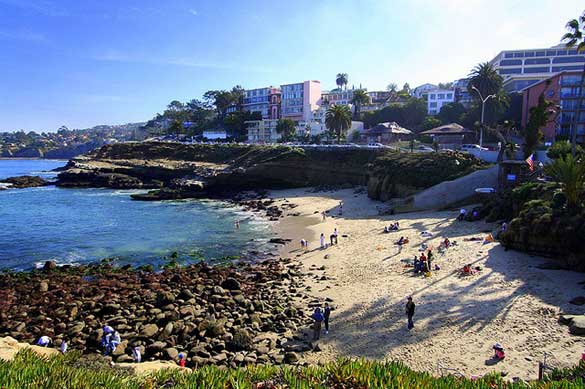 La-Jolla-Cove-Beach