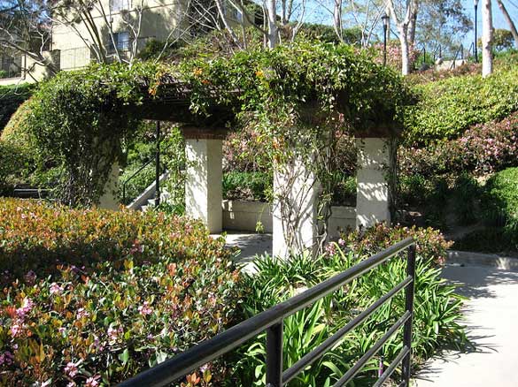 La-Jolla-Secret-Garden