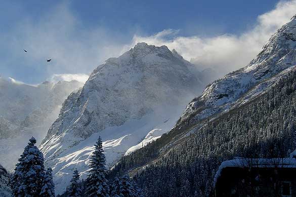 Caucasus