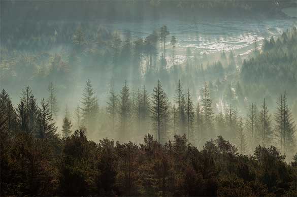 Dartmoor-National-Park