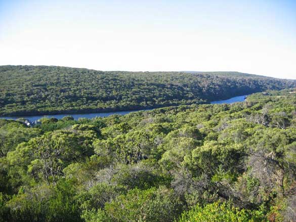 Margaret_River_river