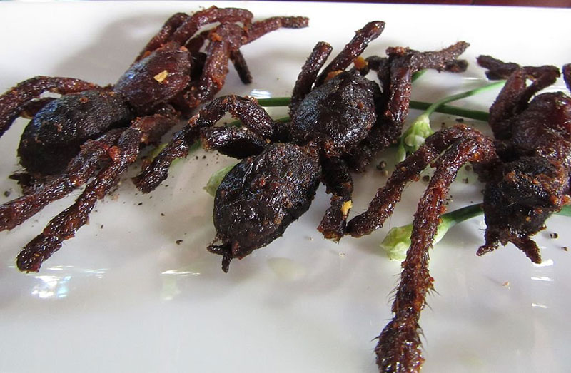 Fried Tarantula, Delicacies From Around The World