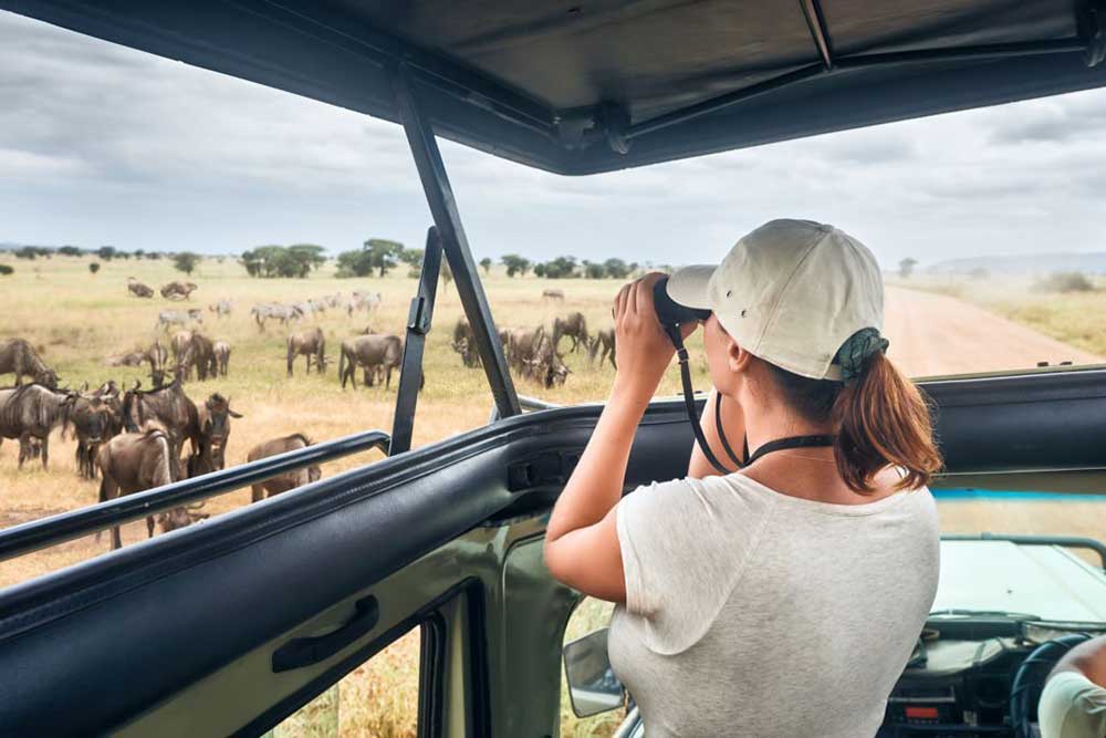 African Safari