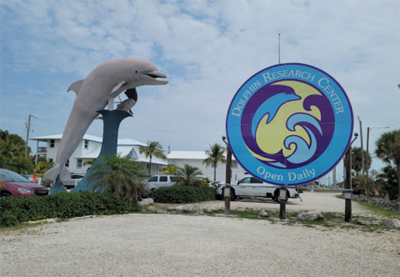 Best Attractions In Florida Keys Dolphin Research Center