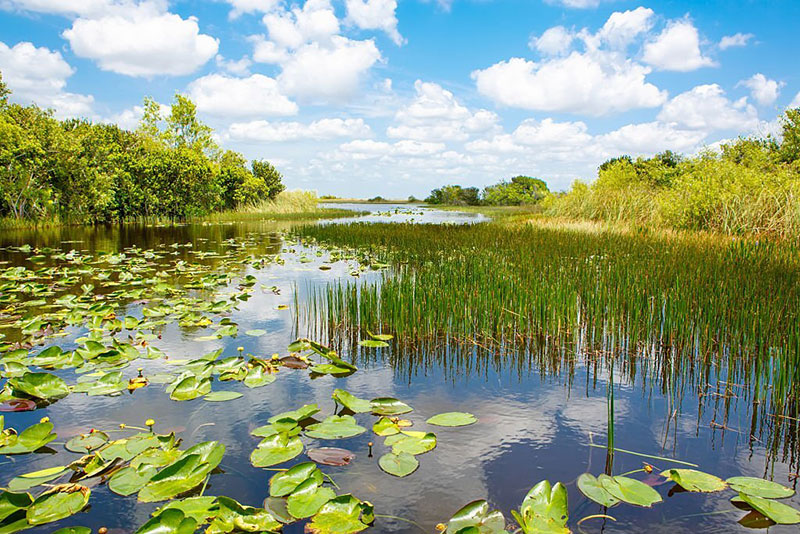 Everglades National Park Florida