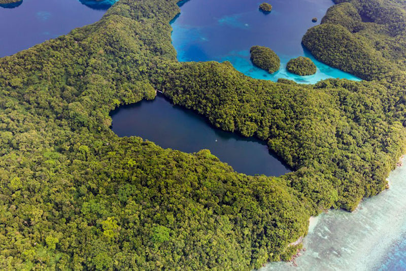 Palau Jellyfish Lake, Most Amazing Swimming Locations