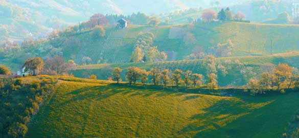 zagorje