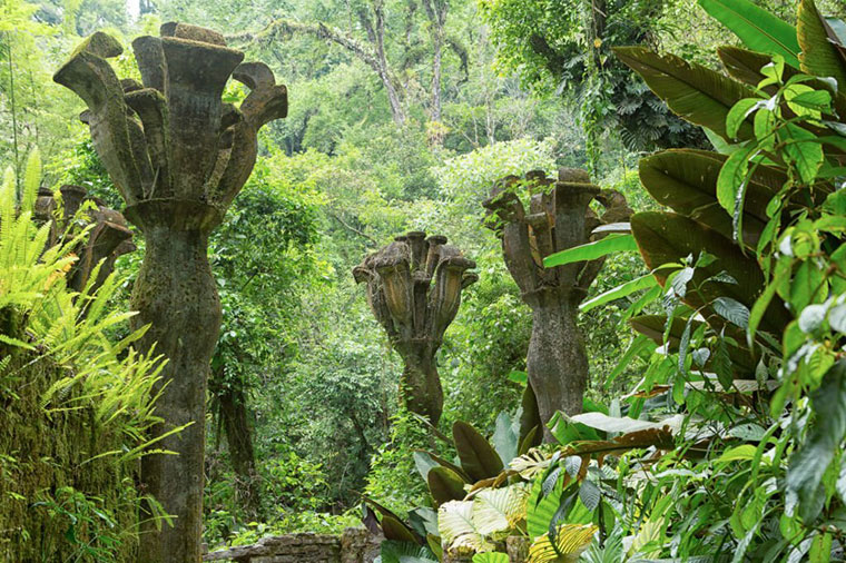World's Most Stunning Gardens Las Pozas in Mexico