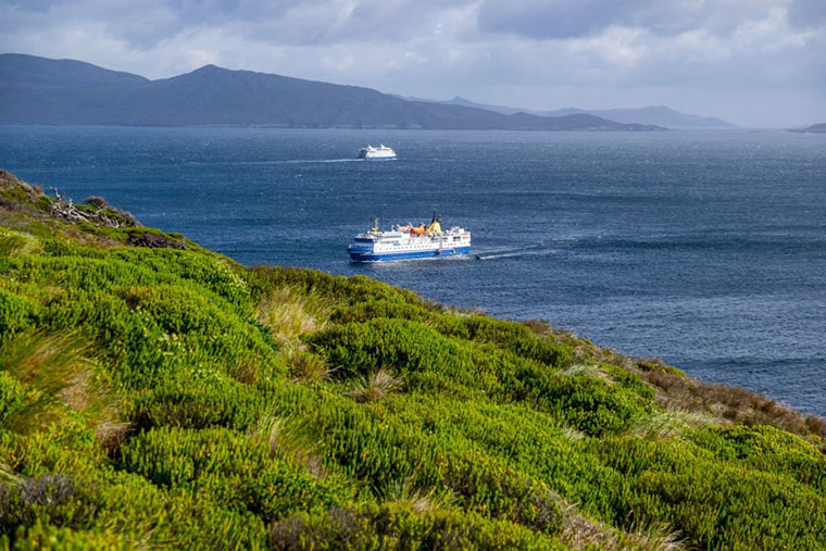 Cruises to Cape Horn