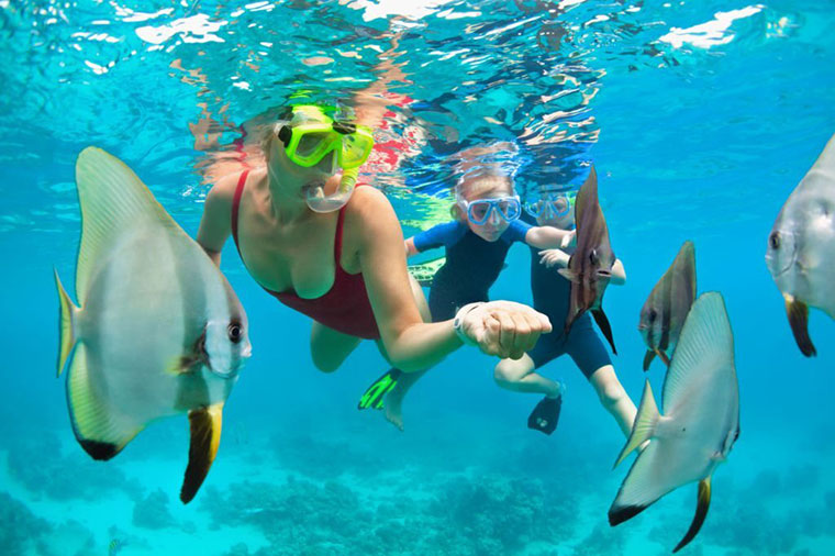 Snorkel around Menjanhan Island