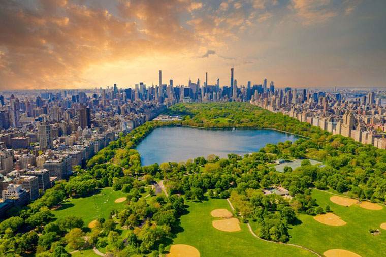 New York Central Park during epic sunset