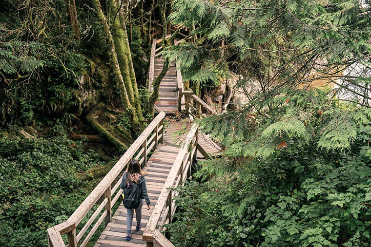 wooden boardwalk in Tofino in Pacific Rim National Park on Vancouver Island BC Canada