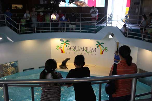 Aquarium-of-Niagara