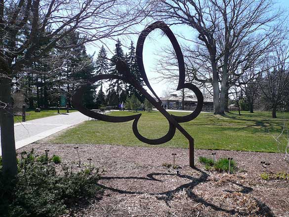 Butterfly-Park-Niagara