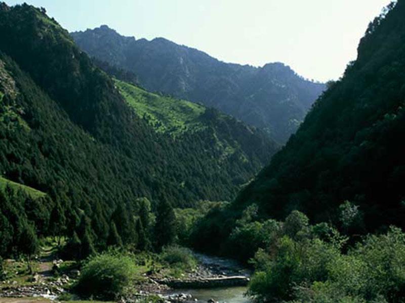 Beishan Mountain National Forest Park