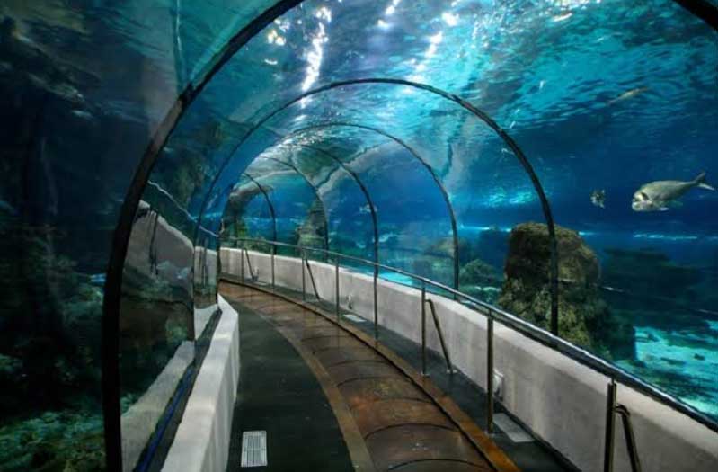 TurkuaZoo Aquarium