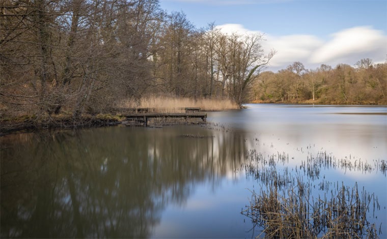 Braceland Forest of Dean