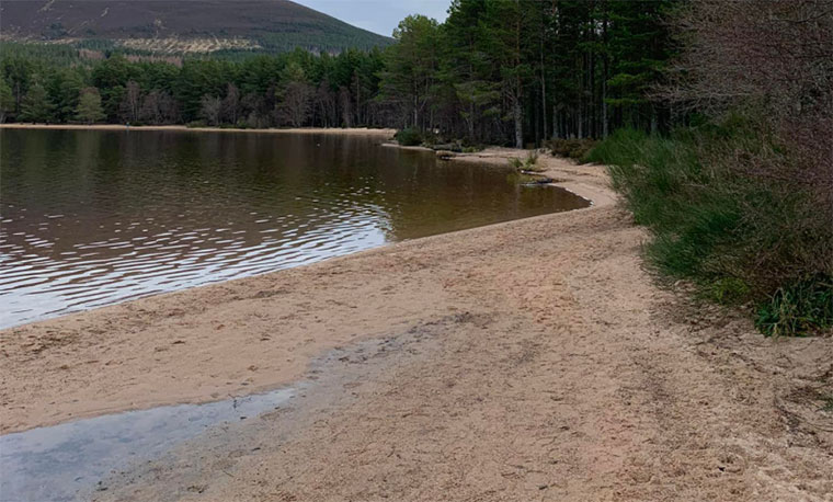 Glenmore Campsite Scotland