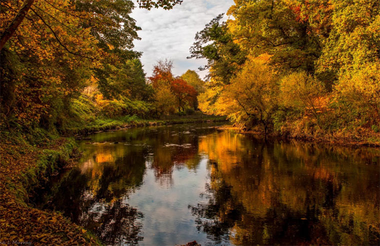 River Moyola Northern Ireland