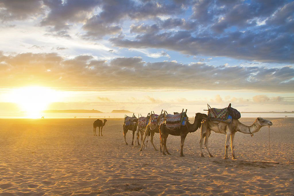 Majestic Morocco Desert