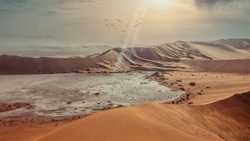 Namibias Deserts